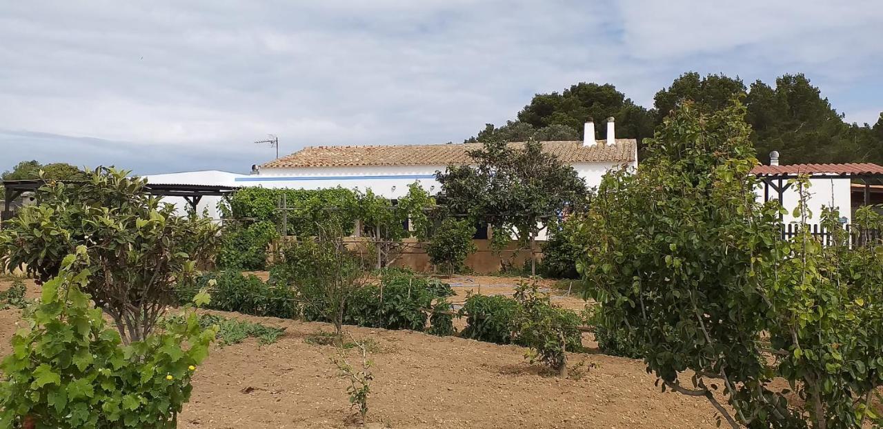 Can Joan Barber, 1 La Mola Exterior photo